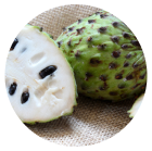 Soursop and Barberry