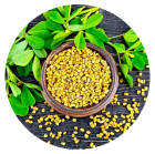 Cactus, Fenugreek, Gymnema