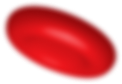 Blood