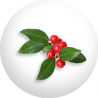 Natural Extracts